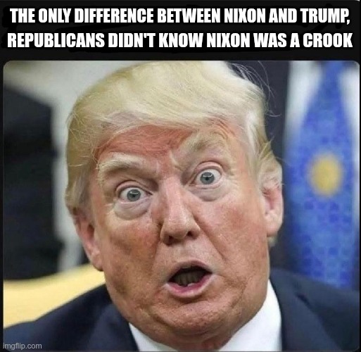 They Elected a Criminal | THE ONLY DIFFERENCE BETWEEN NIXON AND TRUMP, REPUBLICANS DIDN'T KNOW NIXON WAS A CROOK | image tagged in trump,gop,maga,nazi,fascist,crooks | made w/ Imgflip meme maker