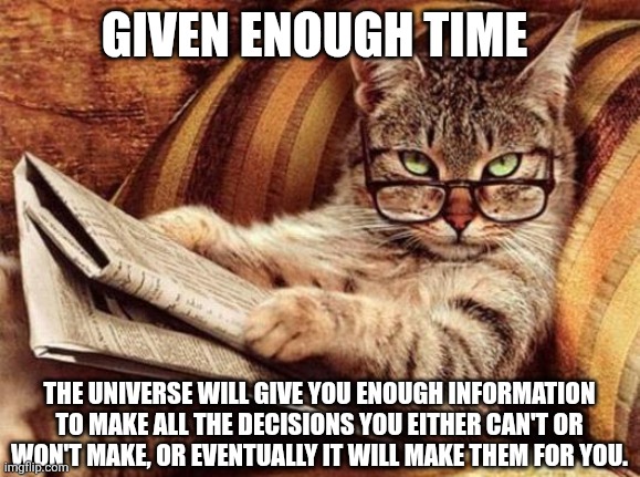 Making decisions | GIVEN ENOUGH TIME; THE UNIVERSE WILL GIVE YOU ENOUGH INFORMATION TO MAKE ALL THE DECISIONS YOU EITHER CAN'T OR WON'T MAKE, OR EVENTUALLY IT WILL MAKE THEM FOR YOU. | image tagged in philosophy cat,decisions,choices | made w/ Imgflip meme maker