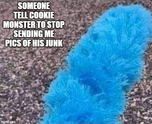 Cookie Junk | SOMEONE TELL COOKIE MONSTER TO STOP SENDING ME PICS OF HIS JUNK | image tagged in dark humor | made w/ Imgflip meme maker