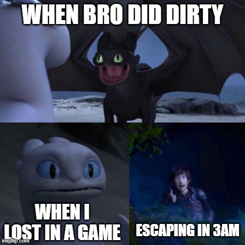 night fury | WHEN BRO DID DIRTY; WHEN I LOST IN A GAME; ESCAPING IN 3AM | image tagged in night fury | made w/ Imgflip meme maker