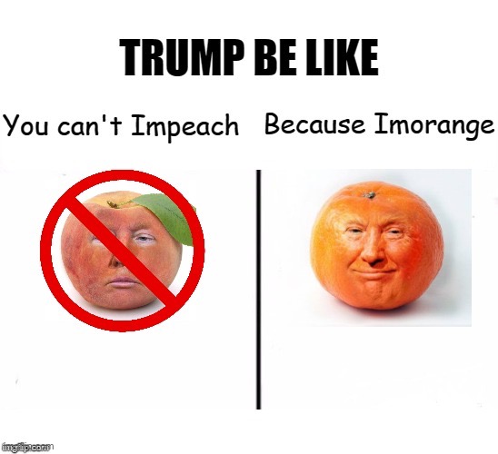 Trump Can't Impeach Because Imorange | image tagged in trump can't impeach because imorange | made w/ Imgflip meme maker
