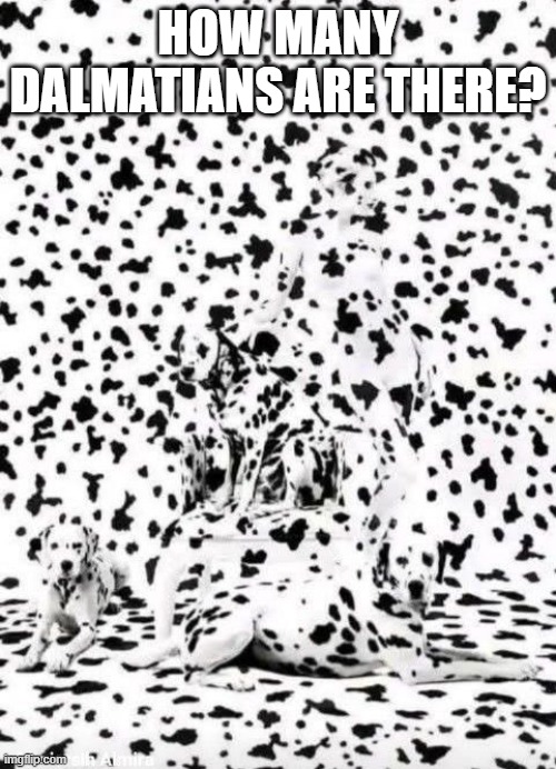 Dalmatians | HOW MANY DALMATIANS ARE THERE? | image tagged in dogs | made w/ Imgflip meme maker
