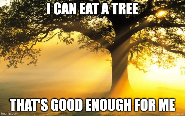 nature | I CAN EAT A TREE; THAT'S GOOD ENOUGH FOR ME | image tagged in nature | made w/ Imgflip meme maker