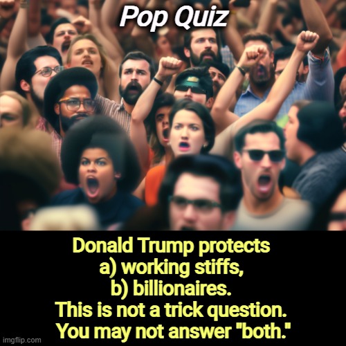 Let's test your tether to reality. | Pop Quiz; Donald Trump protects 
a) working stiffs, 

b) billionaires. 
This is not a trick question. 
You may not answer "both." | image tagged in trump,working class,billionaire,protection,quiz | made w/ Imgflip meme maker