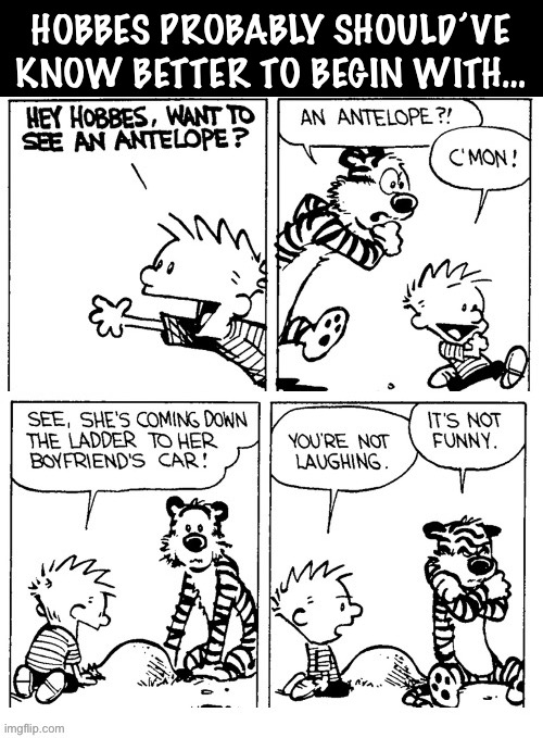I thought that it was funny… | HOBBES PROBABLY SHOULD’VE KNOW BETTER TO BEGIN WITH… | image tagged in calvin and hobbes,comics,ant hill,ant elope | made w/ Imgflip meme maker
