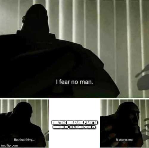 I fear no man | TUNG TUNG TUNG SAHUR, PLANKTON OOOH MEME, DEATH AND SPIDERS. | image tagged in i fear no man | made w/ Imgflip meme maker
