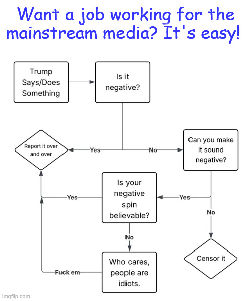 Are you qualitfied to be a part of the MSM propaganda? | Want a job working for the mainstream media? It's easy! | image tagged in msm propaganda | made w/ Imgflip meme maker