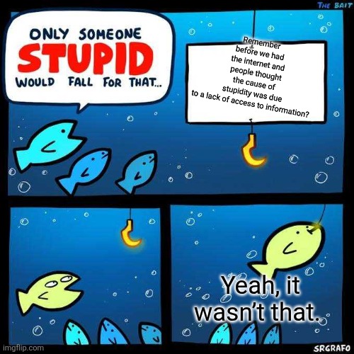 Only someone stupid would fall for that | Remember before we had the internet and people thought the cause of stupidity was due to a lack of access to information? Yeah, it wasn’t that. | image tagged in only someone stupid would fall for that | made w/ Imgflip meme maker