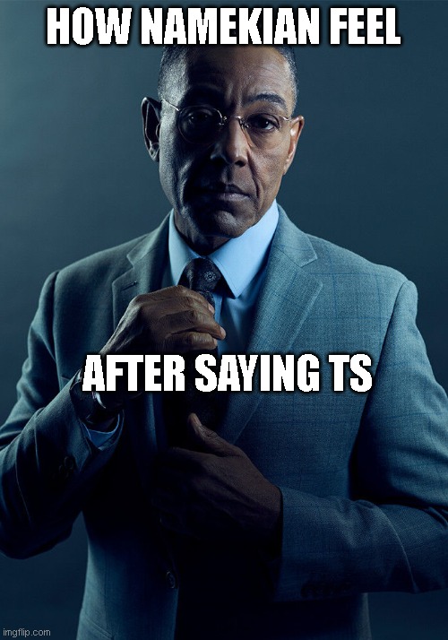 Gus Fring we are not the same | HOW NAMEKIAN FEEL; AFTER SAYING TS | image tagged in gus fring we are not the same | made w/ Imgflip meme maker