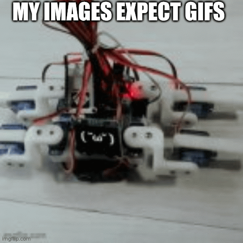 my gallery | MY IMAGES EXPECT GIFS | image tagged in gifs | made w/ Imgflip images-to-gif maker