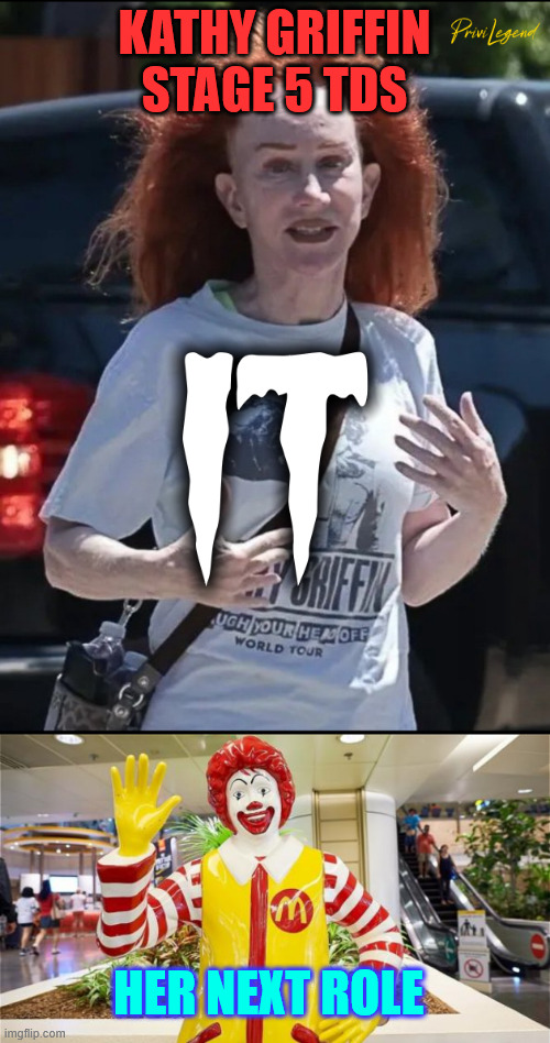 Stage 5 TDS | KATHY GRIFFIN STAGE 5 TDS; HER NEXT ROLE | image tagged in tds,number one mental disorder in us | made w/ Imgflip meme maker