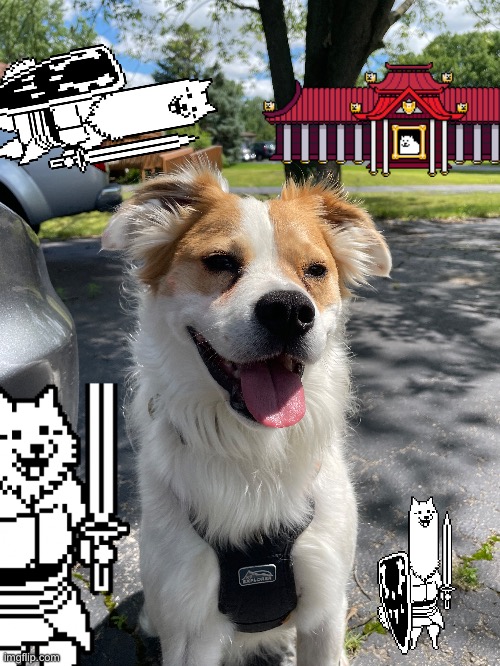 *Insert dogsong here* | made w/ Imgflip meme maker