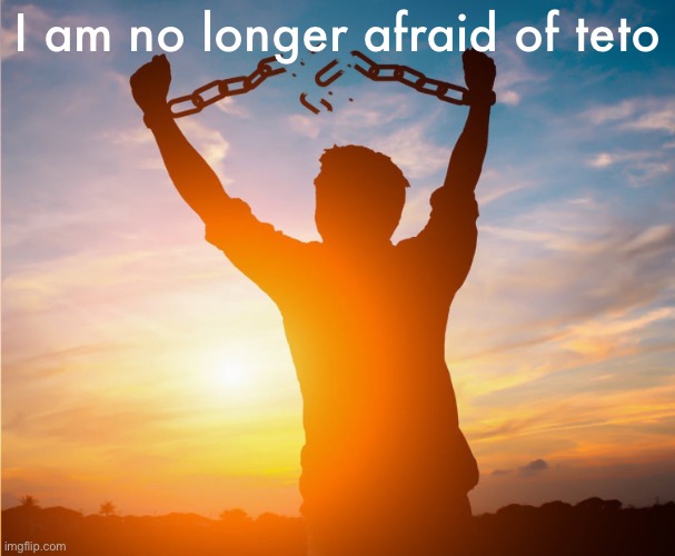 Man breaking free from chains over the sunset | I am no longer afraid of teto | image tagged in man breaking free from chains over the sunset | made w/ Imgflip meme maker