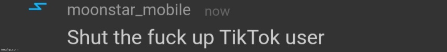Shut the fuck up tiktok user | image tagged in shut the fuck up tiktok user | made w/ Imgflip meme maker