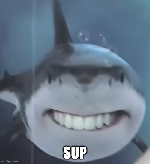 teeth | SUP | image tagged in disturbing | made w/ Imgflip meme maker