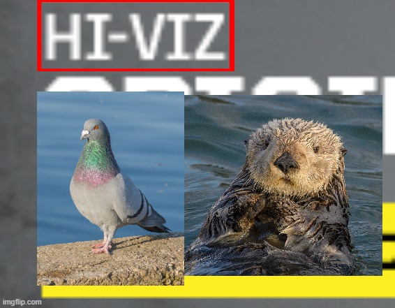 If you watch Jynxzi streams, You may recognize Mike the otter and Ronnie the pigeon (Found in an ad) | image tagged in jynxzi,name soundalikes,hivise,ronnie the pigeon,mike the otter | made w/ Imgflip meme maker