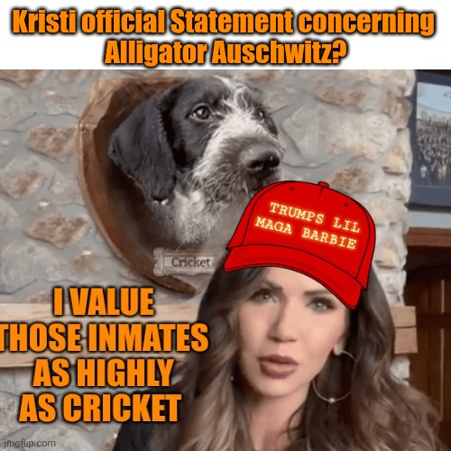 Blank Transparent Square Meme | Kristi official Statement concerning 
Alligator Auschwitz? | image tagged in memes,blank transparent square | made w/ Imgflip meme maker