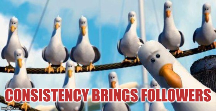 Consistency brings followers | CONSISTENCY BRINGS FOLLOWERS | image tagged in consistency,followers,birds | made w/ Imgflip meme maker