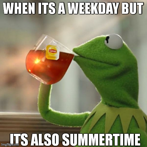 happy summer everyone | WHEN ITS A WEEKDAY BUT; ITS ALSO SUMMERTIME | image tagged in memes,but that's none of my business,kermit the frog,funny,summer,gifs | made w/ Imgflip meme maker