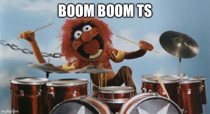 BOOM BOOM TS | image tagged in animal on drums | made w/ Imgflip meme maker