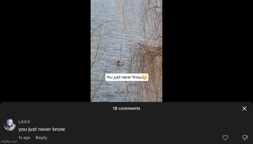 Y’all no more harassing bocchi the rock pfp you just never know | image tagged in you just never know,comments,tiktok | made w/ Imgflip meme maker
