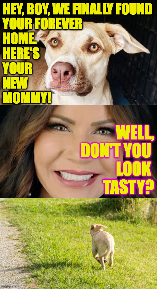 Pogo vs. the bad hungry lady. | HEY, BOY, WE FINALLY FOUND
YOUR FOREVER
HOME.
HERE'S
YOUR
NEW
MOMMY! WELL,
DON'T YOU 
LOOK 
TASTY? | image tagged in memes,kristi noem | made w/ Imgflip meme maker
