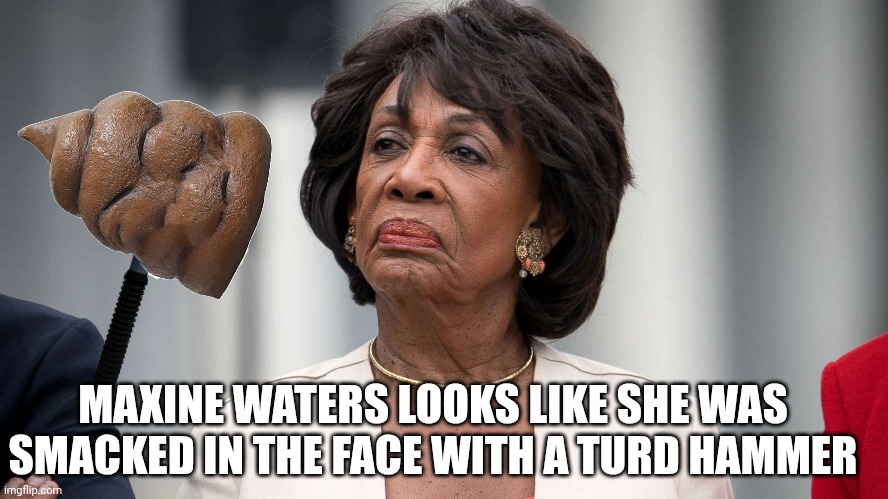 maxine waters meme | MAXINE WATERS LOOKS LIKE SHE WAS SMACKED IN THE FACE WITH A TURD HAMMER | image tagged in turd | made w/ Imgflip meme maker