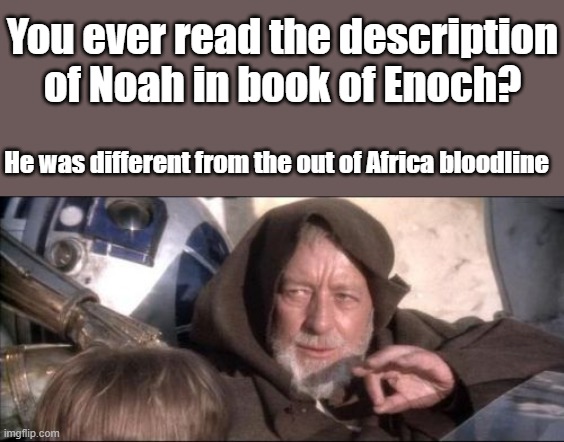 You ever wonder why they hide it? His bloodline was special. What have they been hunting DNA gathering. Reasonable question | You ever read the description of Noah in book of Enoch? He was different from the out of Africa bloodline | image tagged in memes,these aren't the droids you were looking for | made w/ Imgflip meme maker
