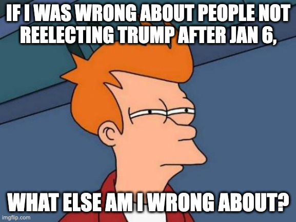 Who are these people on the street?  Is it safe to go outside?? | IF I WAS WRONG ABOUT PEOPLE NOT
REELECTING TRUMP AFTER JAN 6, WHAT ELSE AM I WRONG ABOUT? | image tagged in memes,futurama fry,america | made w/ Imgflip meme maker