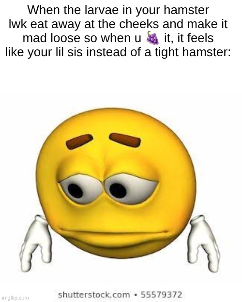 s | When the larvae in your hamster lwk eat away at the cheeks and make it mad loose so when u 🍇 it, it feels like your lil sis instead of a tight hamster: | image tagged in sad stock emoji | made w/ Imgflip meme maker