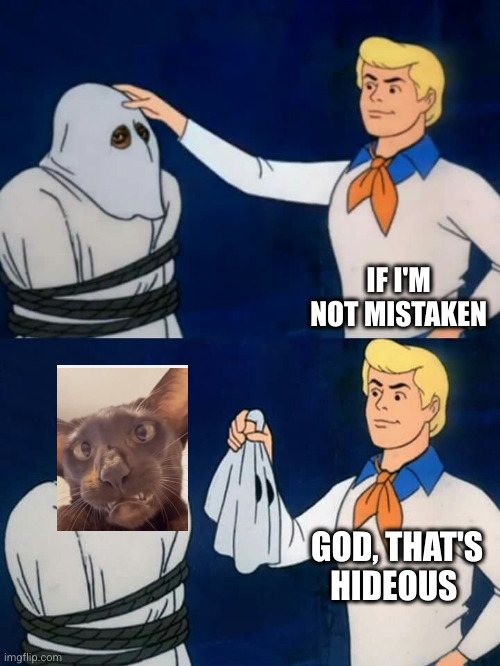 Scooby doo mask reveal | IF I'M NOT MISTAKEN GOD, THAT'S HIDEOUS | image tagged in scooby doo mask reveal | made w/ Imgflip meme maker