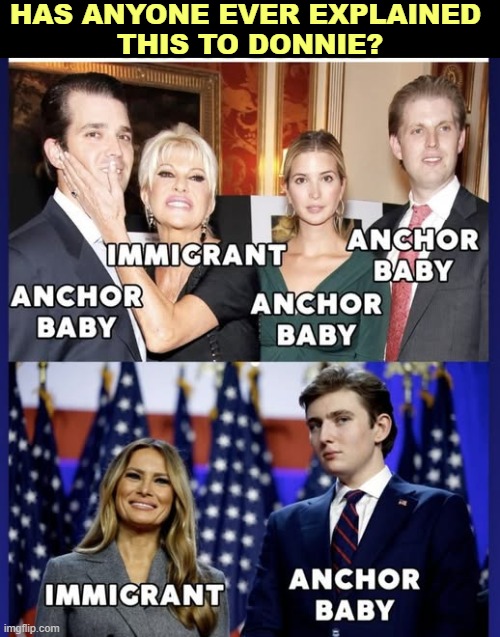 HAS ANYONE EVER EXPLAINED 
THIS TO DONNIE? | image tagged in trump,wives,anchor baby,immigrants,14th amendment | made w/ Imgflip meme maker