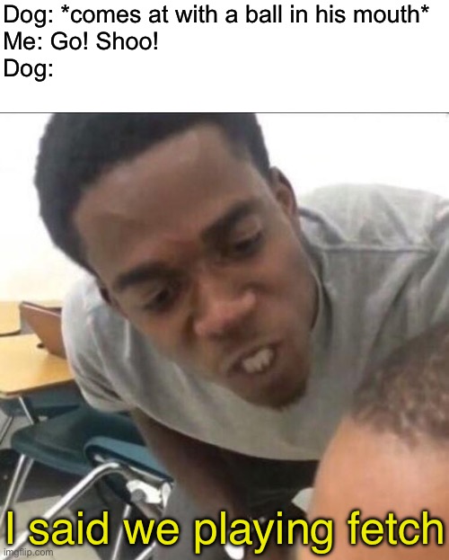 bruhh | Dog: *comes at with a ball in his mouth*
Me: Go! Shoo!
Dog:; I said we playing fetch | image tagged in i said we sad today | made w/ Imgflip meme maker