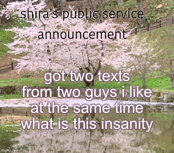 dating sim ahh | got two texts from two guys i like at the same time what is this insanity | image tagged in shira s psa | made w/ Imgflip meme maker