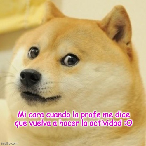 propuesta meme | Mi cara cuando la profe me dice que vuelva a hacer la actividad :O | image tagged in memes,doge | made w/ Imgflip meme maker