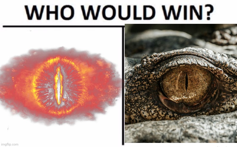 Who Would Win? Meme | image tagged in memes,who would win | made w/ Imgflip meme maker
