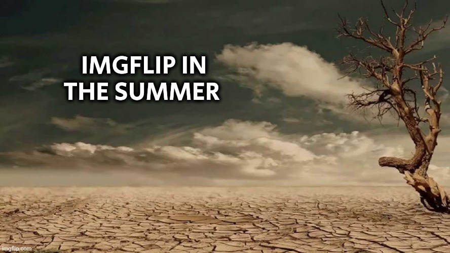Wasteland | IMGFLIP IN THE SUMMER | image tagged in wasteland | made w/ Imgflip meme maker
