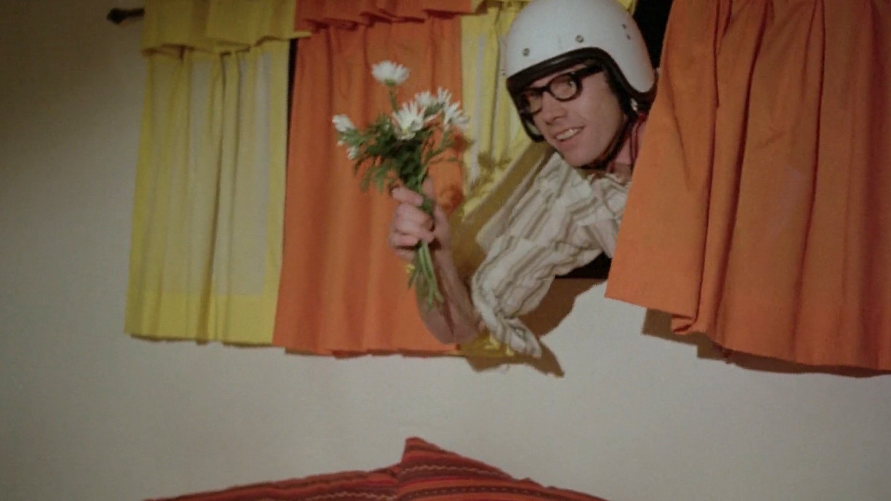window flowers Blank Meme Template