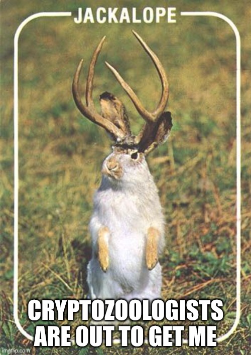 cryptozoologists | CRYPTOZOOLOGISTS ARE OUT TO GET ME | image tagged in jackalope,cryptozoologists | made w/ Imgflip meme maker