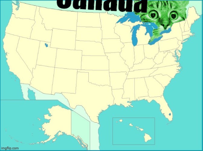 RayCat Country | image tagged in canada,canada day,meanwhile in canada,raycat,raycat saves the world,raycat rules the world | made w/ Imgflip meme maker