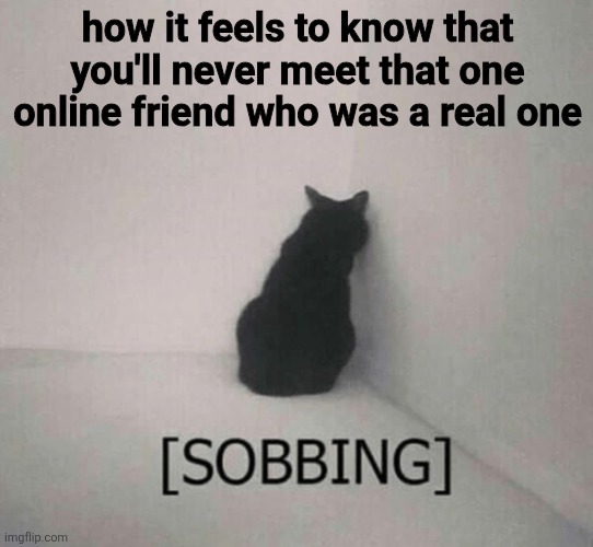 Sobbing cat | how it feels to know that you'll never meet that one online friend who was a real one | image tagged in sobbing cat | made w/ Imgflip meme maker