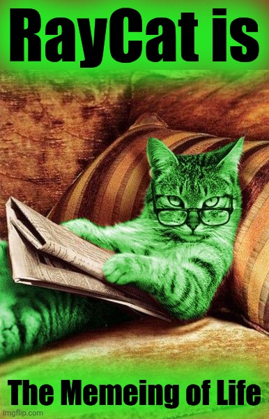 Factual RayCat | RayCat is The Memeing of Life | image tagged in factual raycat | made w/ Imgflip meme maker