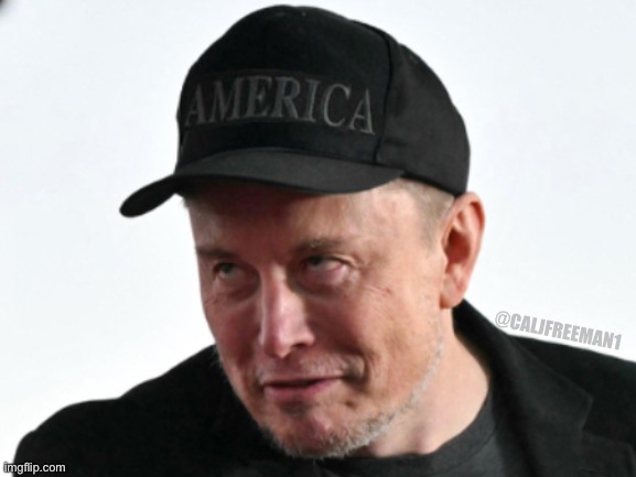 Musk’s “Dark America” party… | @CALJFREEMAN1 | image tagged in elon musk,maga,elon musk smoking a joint,republicans,donald trump,elon musk laughing | made w/ Imgflip meme maker