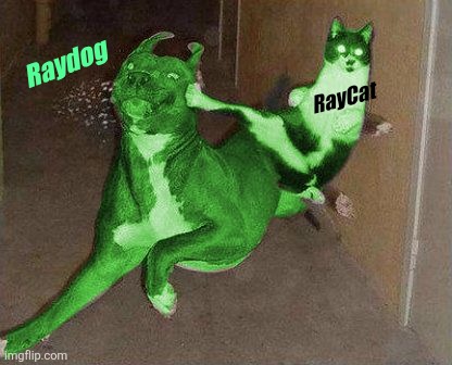 RayCat kicking RayDog | RayCat Raydog | image tagged in raycat kicking raydog | made w/ Imgflip meme maker