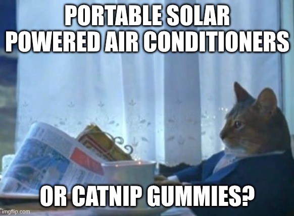 investment opportunities | PORTABLE SOLAR POWERED AIR CONDITIONERS; OR CATNIP GUMMIES? | image tagged in memes,i should buy a boat cat,air conditioner | made w/ Imgflip meme maker