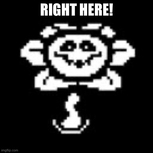 Flowey | RIGHT HERE! | image tagged in flowey | made w/ Imgflip meme maker