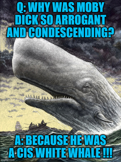 Moby Dick | Q: WHY WAS MOBY DICK SO ARROGANT AND CONDESCENDING? A: BECAUSE HE WAS A CIS WHITE WHALE !!! | image tagged in funny | made w/ Imgflip meme maker