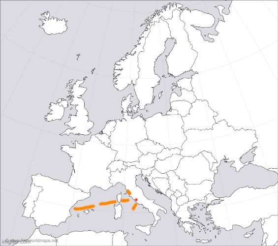 image tagged in blank europe map | made w/ Imgflip meme maker