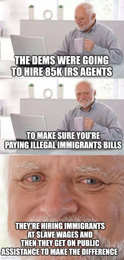 THEY'RE HIRING IMMIGRANTS AT SLAVE WAGES AND THEN THEY GET ON PUBLIC ASSISTANCE TO MAKE THE DIFFERENCE | image tagged in hide the pain harold | made w/ Imgflip meme maker