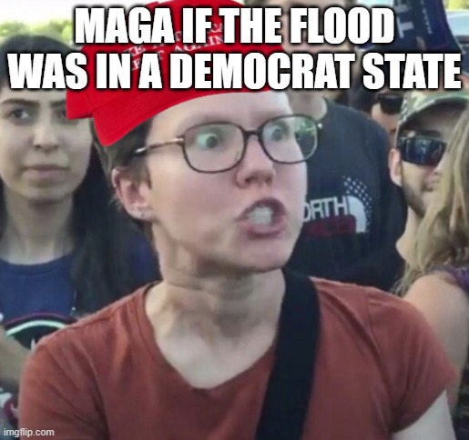 Maga Loser | MAGA IF THE FLOOD WAS IN A DEMOCRAT STATE | image tagged in maga loser | made w/ Imgflip meme maker